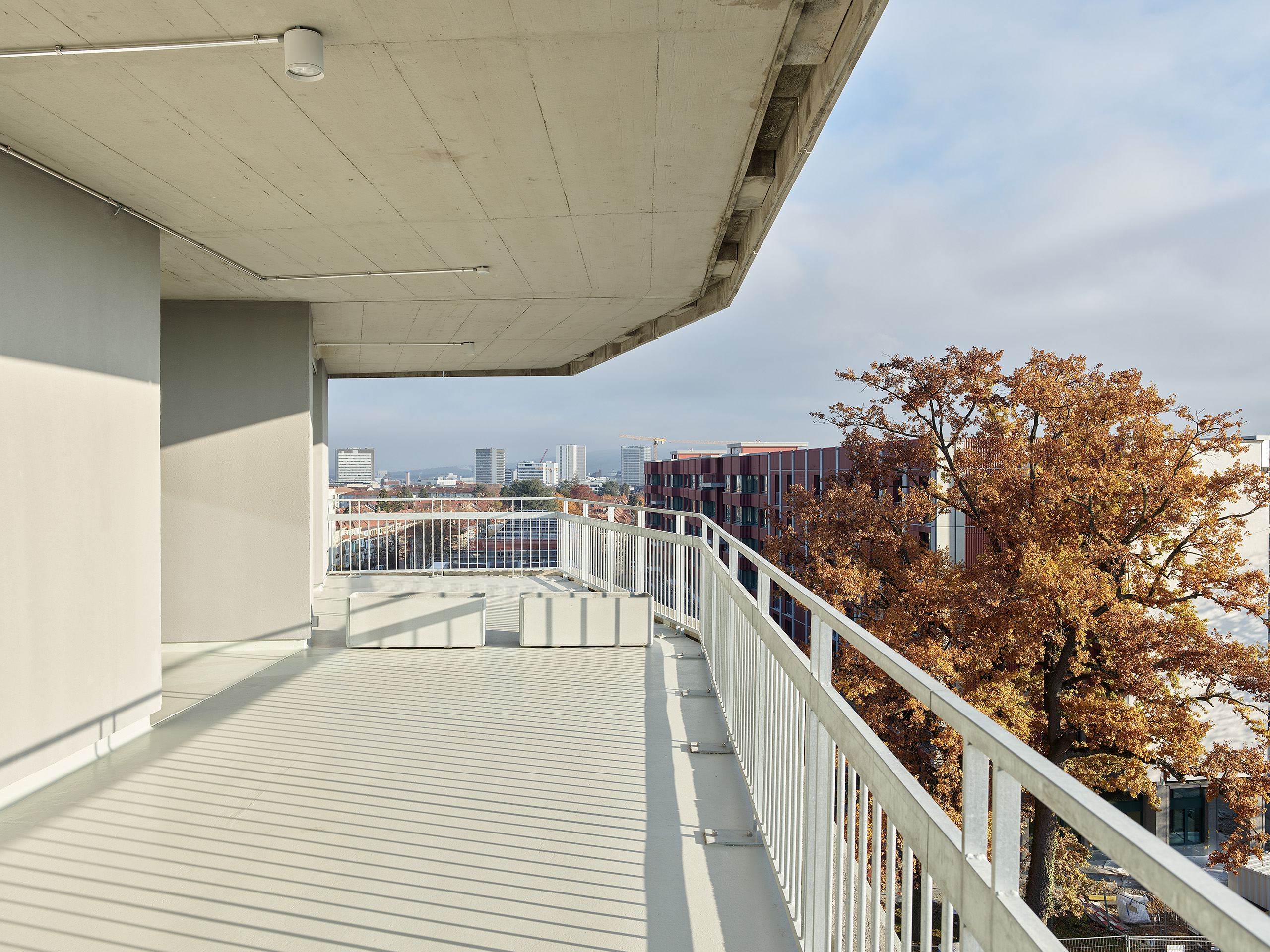Umnutzung Felix Platter-Spital, Basel · Mueller Sigrist Architekten · Aufnahmen 12.2022